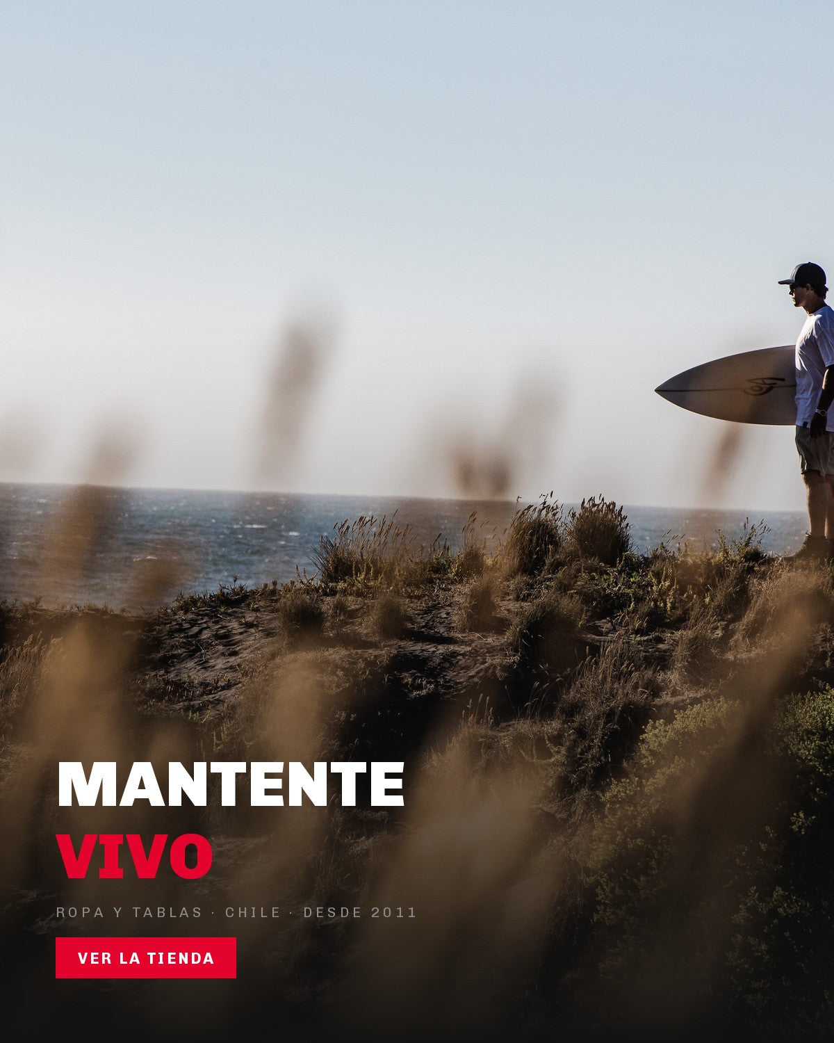 Surfista con tabla al hombro en la costa, version movil