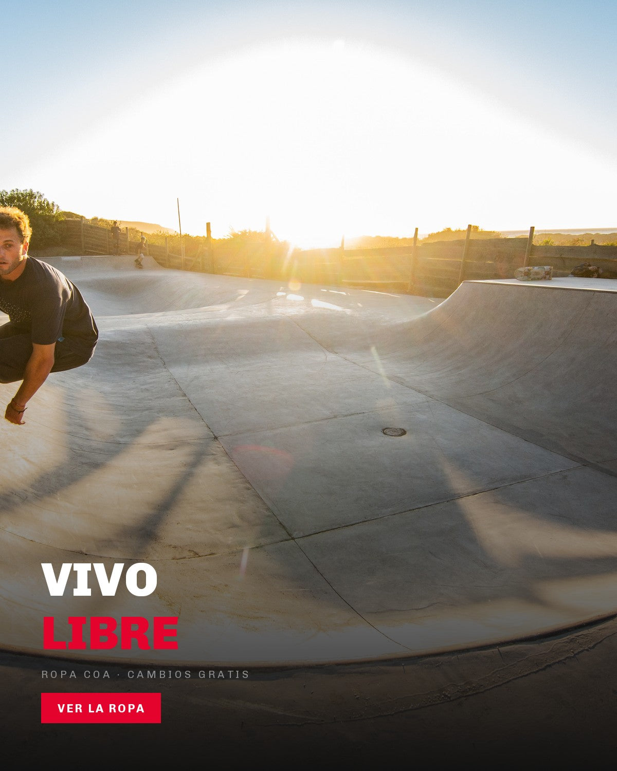 Skater con polera COA en el bowl, version movil